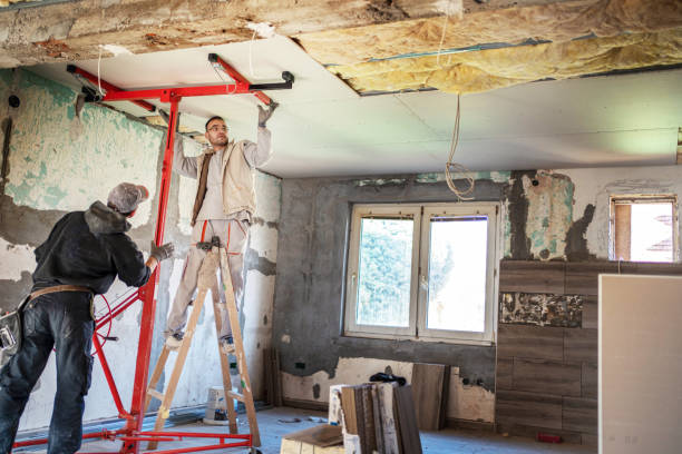 Best Cellulose Insulation in Clayco, MO